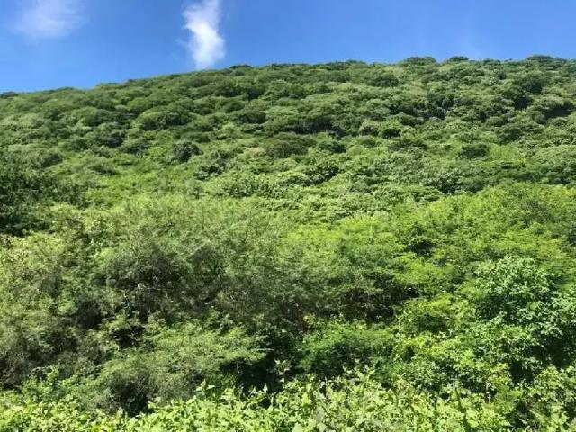 Terreno en venta en Atotonilco el Alto Centro, Atotonilco El Alto, Jalisco