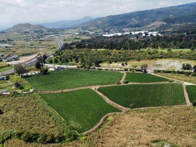 TERRENO EN VENTA EN ATLATLAHUCAN MORELOS