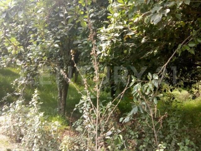 Terreno en Venta en Atlautla, Edo. M?xico