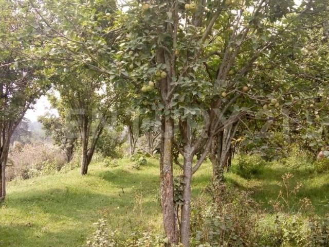 Terreno en Venta en Atlautla, Edo. M?xico