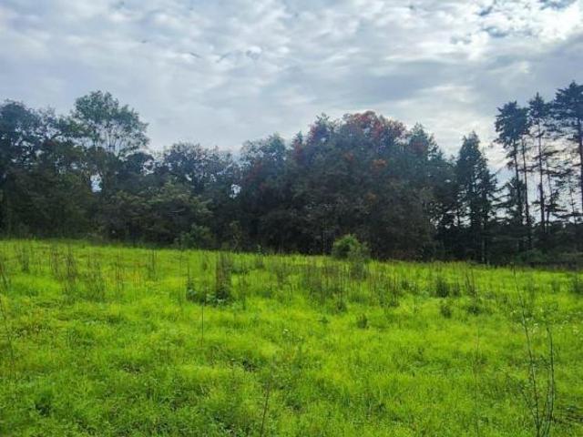 TERRENO EN VENTA EN ATLAUTLA ESTADO DE MÉXICO