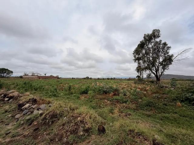 Terreno en Venta en Atlixco | 12,165 m². Excelente Oportunidad de Inversión
