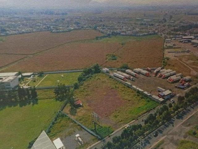 TERRENO EN VENTA EN AV. ADOLF HORN TOLUQUILLA