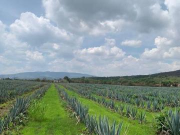 Terreno en venta en Av. Las Torres, Jalisco