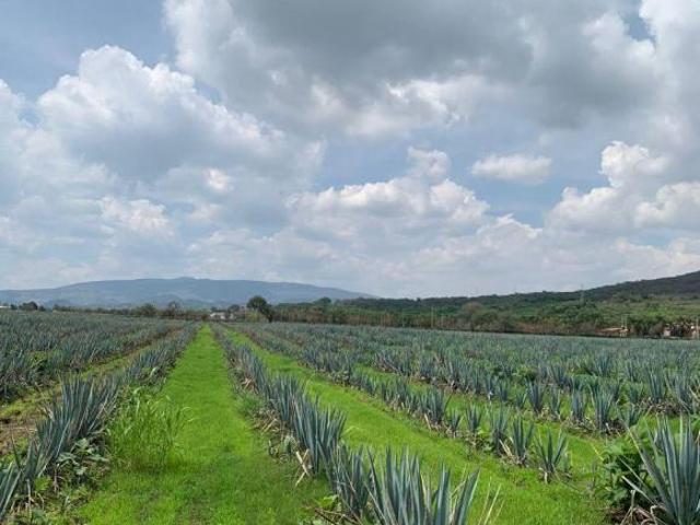 Terreno en venta en Av. Las Torres, Jalisco