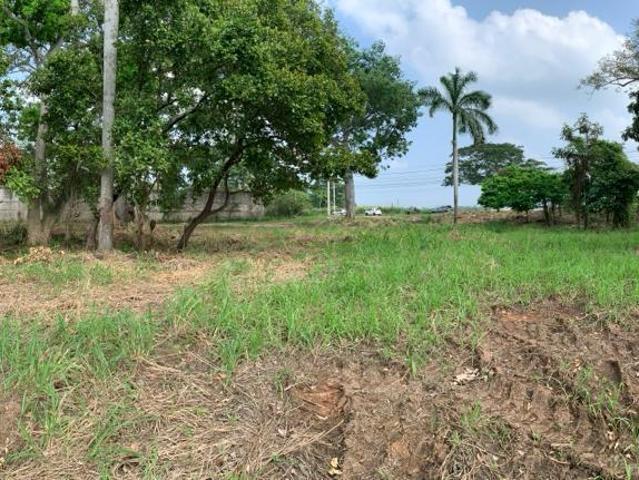 TERRENO EN VENTA EN AVENIDA FRANCISCO JAVIER MINA