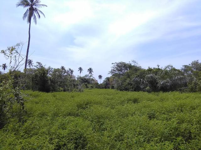 Terreno en venta en Acapulco Diamante