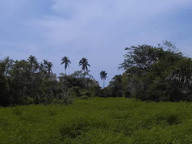 Terreno en venta en Acapulco Diamante