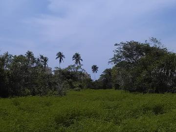 Terreno en venta en Acapulco Diamante