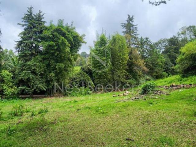TERRENO EN VENTA EN ACATITLAN VALLE DE BRAVO