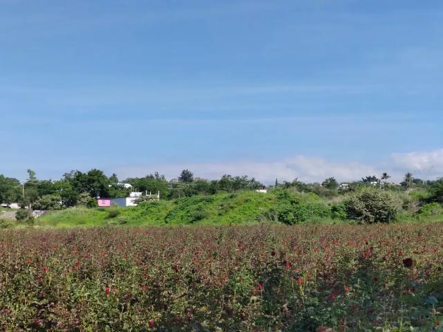 Terreno en venta en Acatlipa, Temixco, Morelos