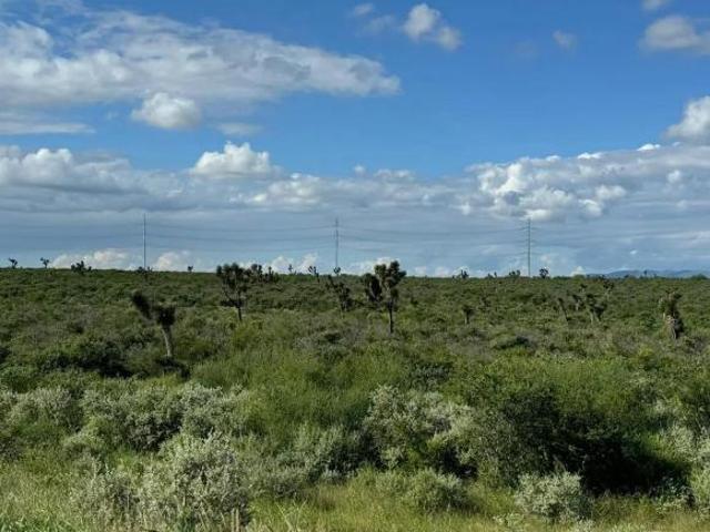 Terreno en Venta en Agua Fría Apodaca, NL. Oportunidad única de adquirir un terreno de 10 hectáreas