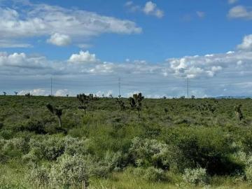 Terreno en Venta en Agua Fría Apodaca, NL. Oportunidad única de adquirir un terreno de 10 hectáreas