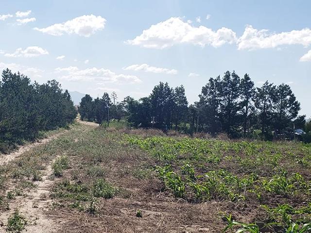 Terreno en venta en Agua Nueva, Saltillo, Coahuila de Zaragoza