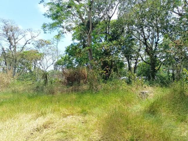 Terreno en venta en Alborada, Emiliano Zapata, Veracruz de Ignacio de la Llave