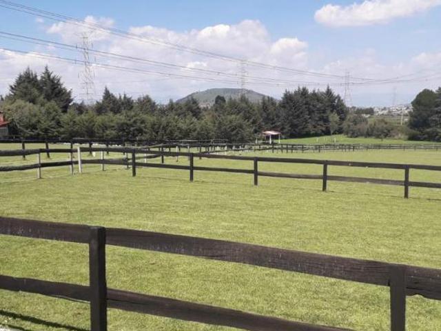 TERRENO EN VENTA EN ALMOLOYA DE JUAREZ