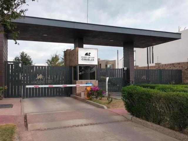 TERRENO EN VENTA EN ALTOZANO, GOMEZ PALACIO, DGO
