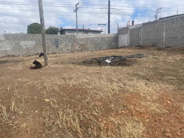 Terreno en venta en Altamira, Tijuana, Baja California