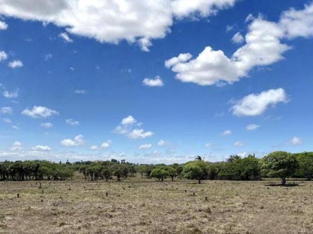 TERRENO en venta en ALVARADO