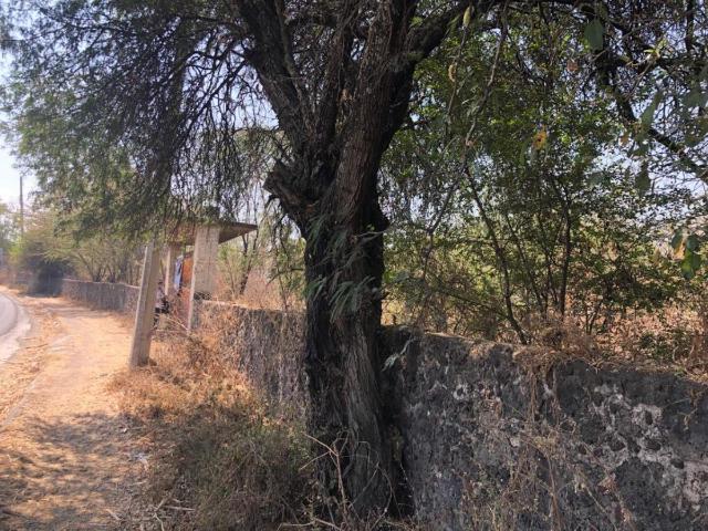 Terreno en venta en Amador Salazar, Tlaltizapán de Zapata, Morelos