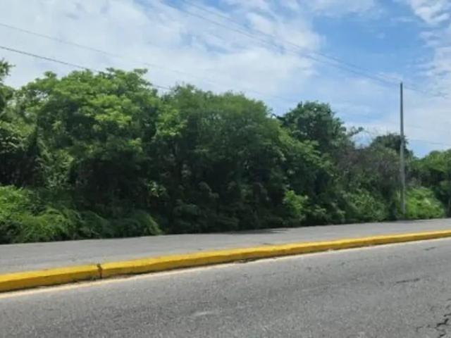 Terreno en venta en Amador Salazar, Tlaltizapán de Zapata, Morelos