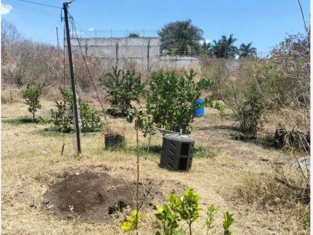 Bonitos terrenos en Fraccionamiento Amates Oaxtepec