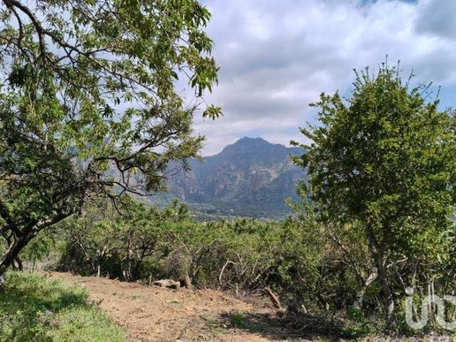Terreno en venta en Amatlán, ideal para inversionistas