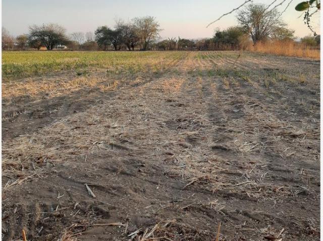 Terreno en venta en Amayuca, Jantetelco, Morelos