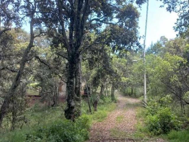 Terreno en venta en Amealco, Queretaro