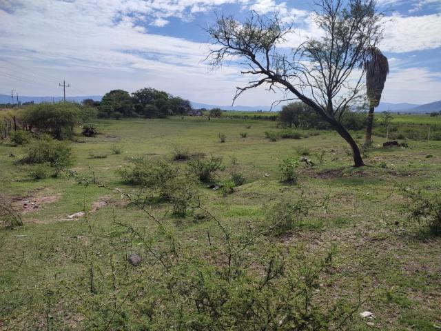 Terreno en venta en Ameca, Jalisco