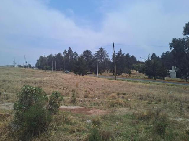 TERRENO EN VENTA EN AMOLOYA DE JUAREZ MEXICO