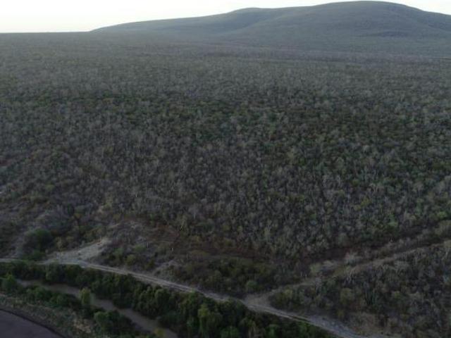 Terreno en venta en Angostura – 201 hectáreas excelente espacio