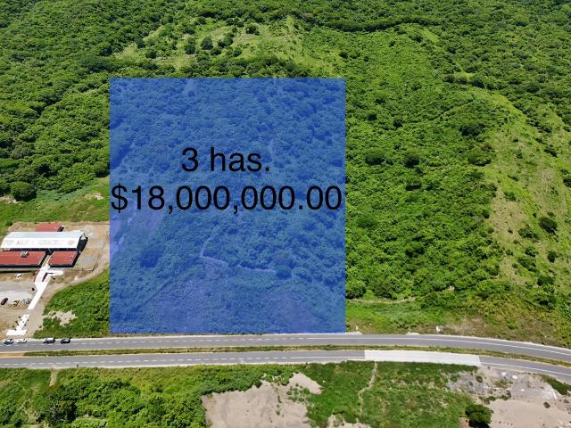 TERRENO EN VENTA EN ANTÓN LIZARDO