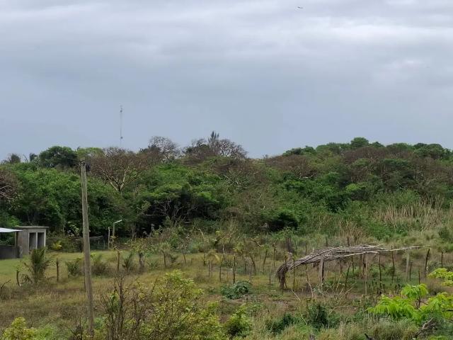 Terreno en Venta en Anton Lizardo, Alvarado, Veracruz
