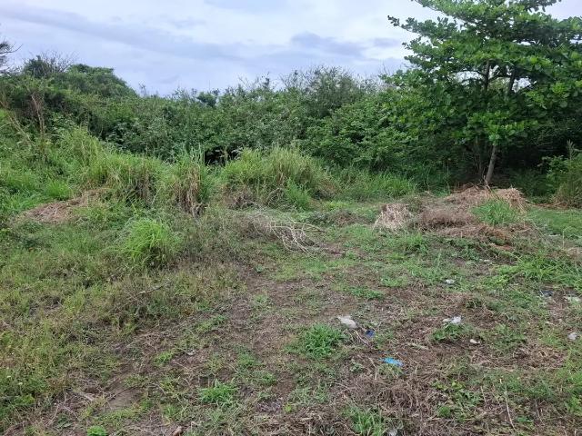 Terreno en venta en Anton Lizardo, Veracruz