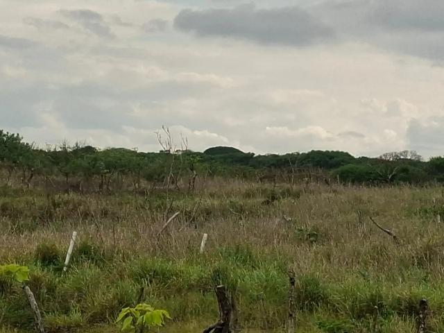Terreno en Venta en Anton Lizardo, Veracruz de Ignacio de la Llave Inversión Ideal