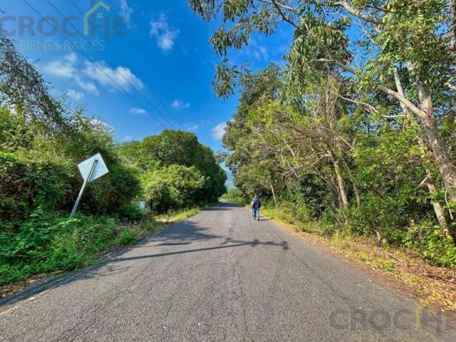 Terreno en Venta en Apazapan Veracruz 5 hectareas
