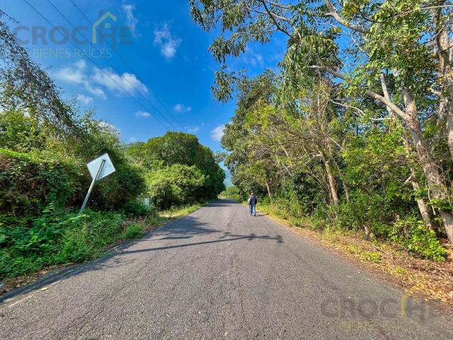 Terreno en Venta en Apazapan Veracruz 5 hectareas