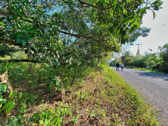 Terreno en Venta en Apazapan Veracruz 5 hectareas