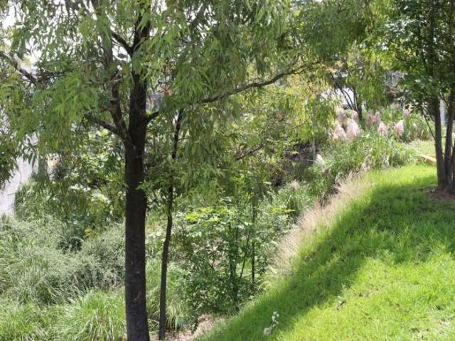 TERRENO EN VENTA EN AQUA l, EN EL CORAZÓN DE LAGO ESMERALDA, DE LOS MEJORES CONJUNTOS DE ZONA ESMERA
