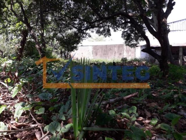 Terreno en venta en Arroyo del Maiz, Poza Rica de Hidalgo, Veracruz de Ignacio de la Llave