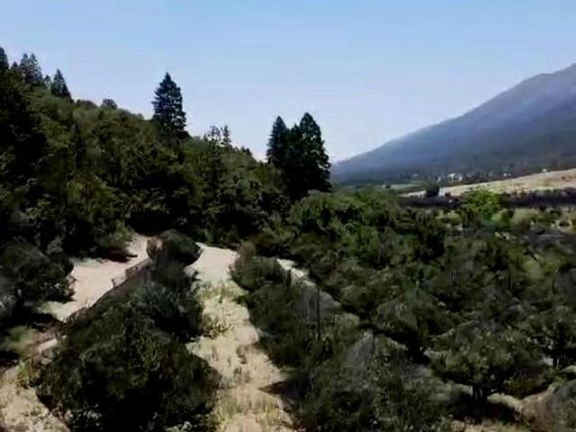 Terreno en venta en Arteaga Coahuila con mas de 250 manzanos maduros