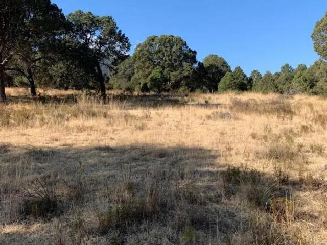 TERRENO EN VENTA EN ARTEAGA, COAHUILA LOS LLANOS