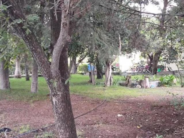 Venta de terreno en Arteaga Coahuila Centro