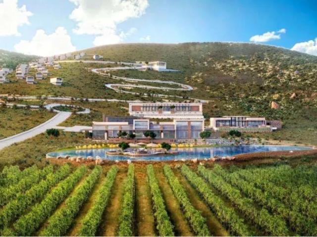 Terreno en venta en Arteaga en Coahuila