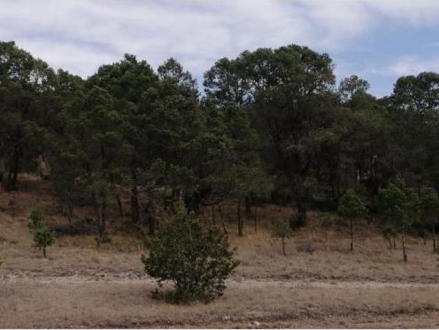 Terreno en venta en Artesillas, Arteaga, Coahuila de Zaragoza
