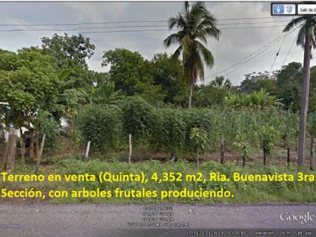 Terreno en venta en Buena Vista 3ra. Sección Boca de Escoba, Centro, Tabasco