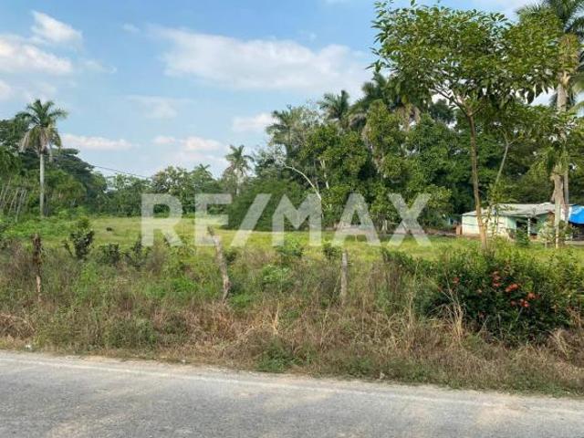 Terreno en Venta en Buenavista 2da Sección 4