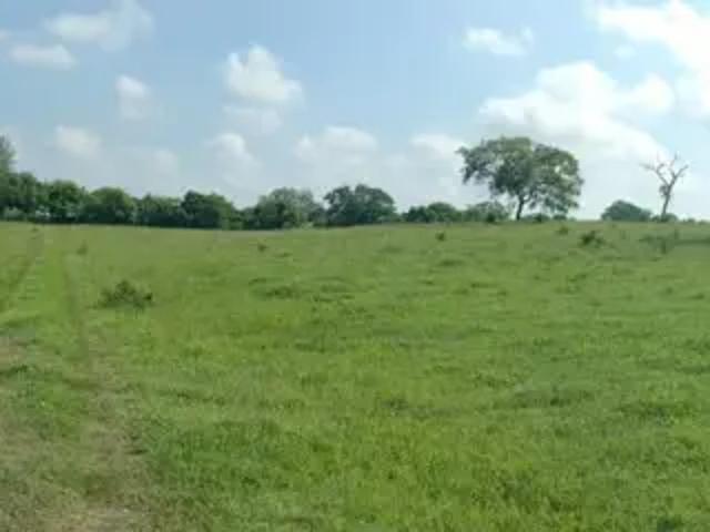 Terreno en venta en Balcazar, Tamiahua, Veracruz de Ignacio de la Llave