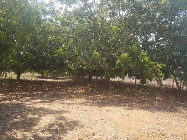 Terreno en venta en Barra Vieja, Acapulco de Juárez, Guerrero